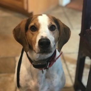 Meet your Posher, Gretchen